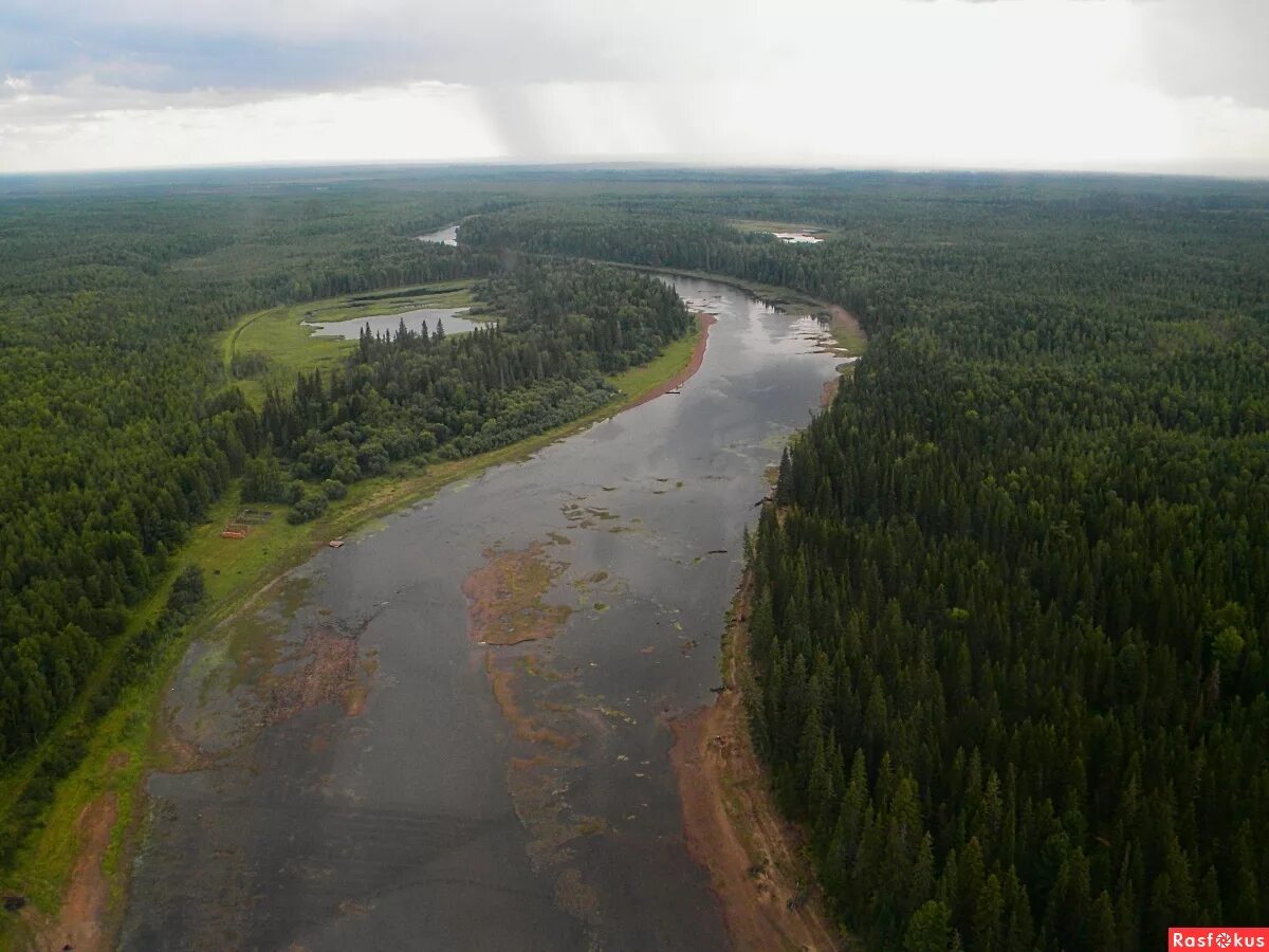 Сосьва югра. Сосьва югра. Заповедник малая сосьва. Заповедник малая сосьва в хмао-югре. Сосьва югра.