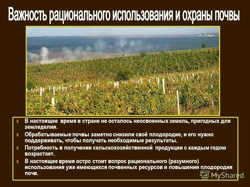 зона рискованного земледелия карта. пригодные для земледелия почвы. карта мелиорации земель в россии. наиболее пригодные почвы для земледелия. непригодные для земледелия почвы.