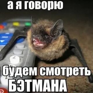 Просмотров б