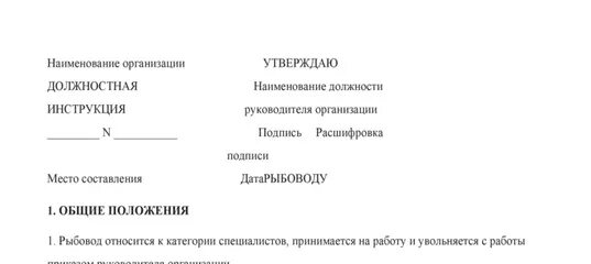 Форма должностной инструкции. Бланк должностной инструкции. Должностная инструкция образец. Должностная инструкция пример оформления.