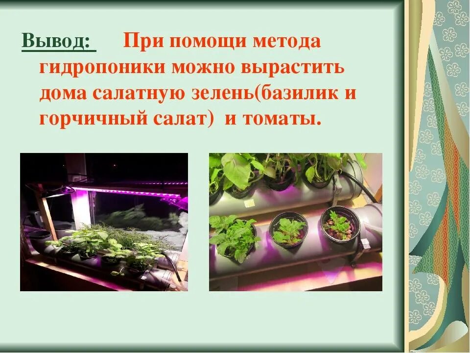 Практическая работа технологии выращивания растений. Выращивание гидропонным способом. Гидропонный способ выращивания растений. Растения без почвы. Гидропоника слайд.