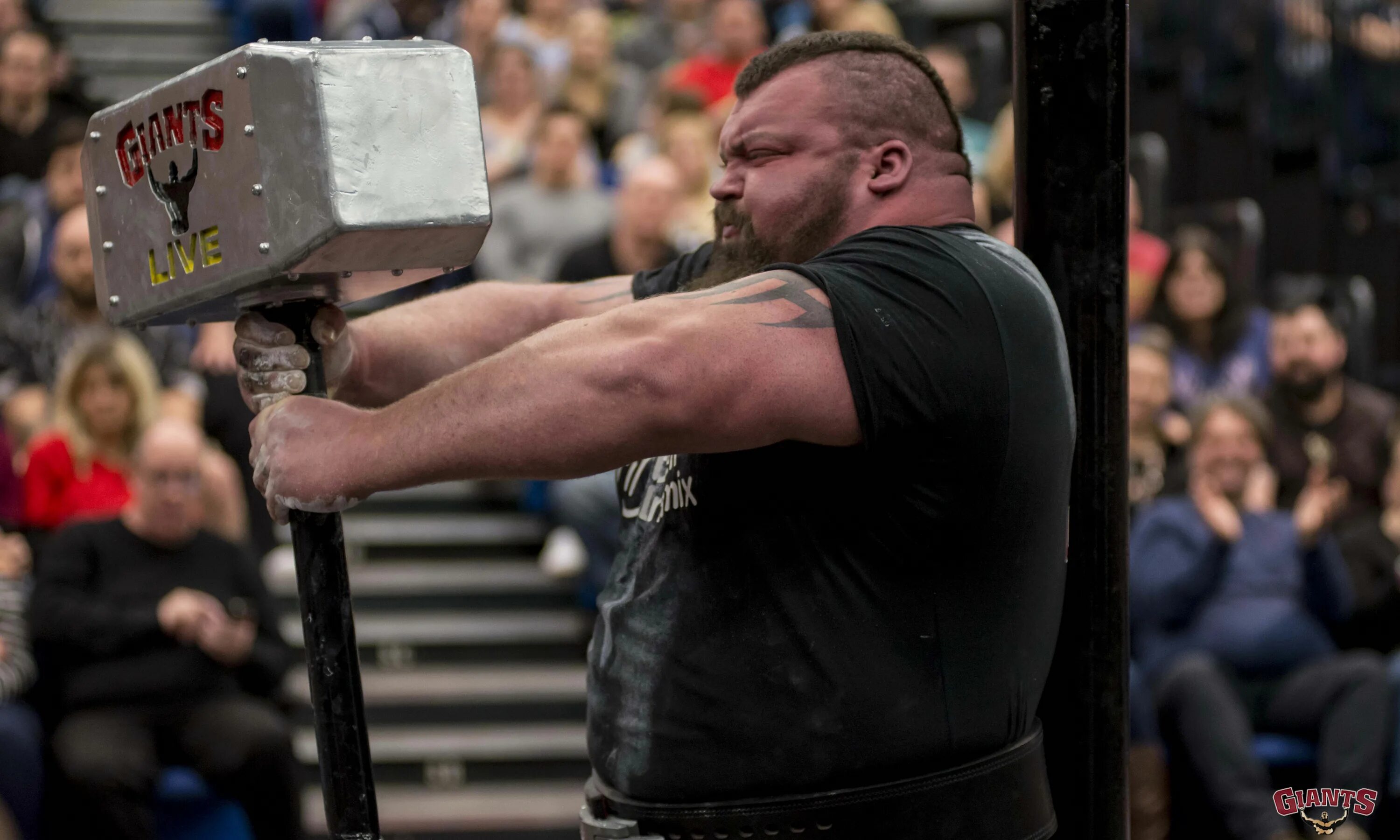 World strongest man. Эдди Холл стронгмен. Холл Стронг Эдди стронгмены. Эдди Холл Викинги.