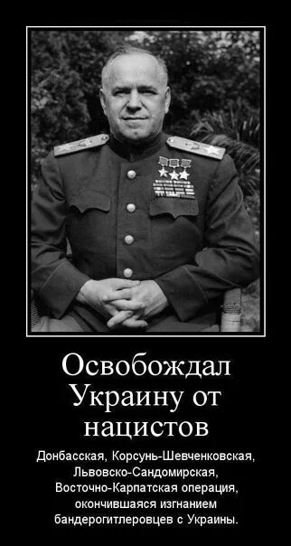 Бабы еще нарожают. Жуков еще нарожают. Маршал Жуков бабы ещё нарожают. Фраза Жукова бабы еще нарожают. Цитата Жукова бабы еще нарожают.