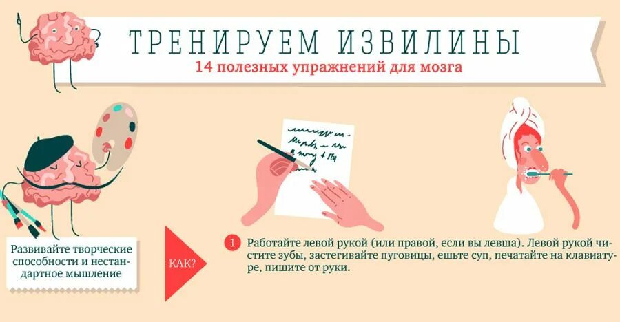 Развитие мозга упражнения. Упражнения для мозга. Упражнения для развития мозга. Полезные упражнения для мозга. Упражнения для тренировки мозга.