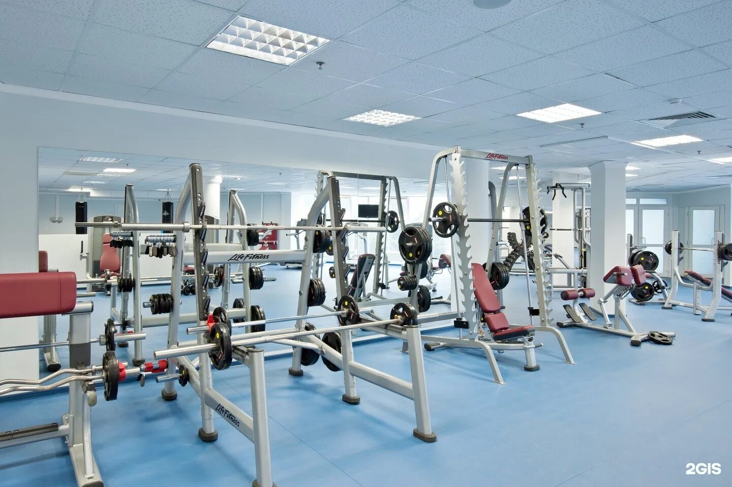 Форма фитнес краснодар. Спортзал alex fitness краснодар. Тренажеры в алекс фитнес. Фитнес хаус краснодар. Авакс краснодар фитнес.