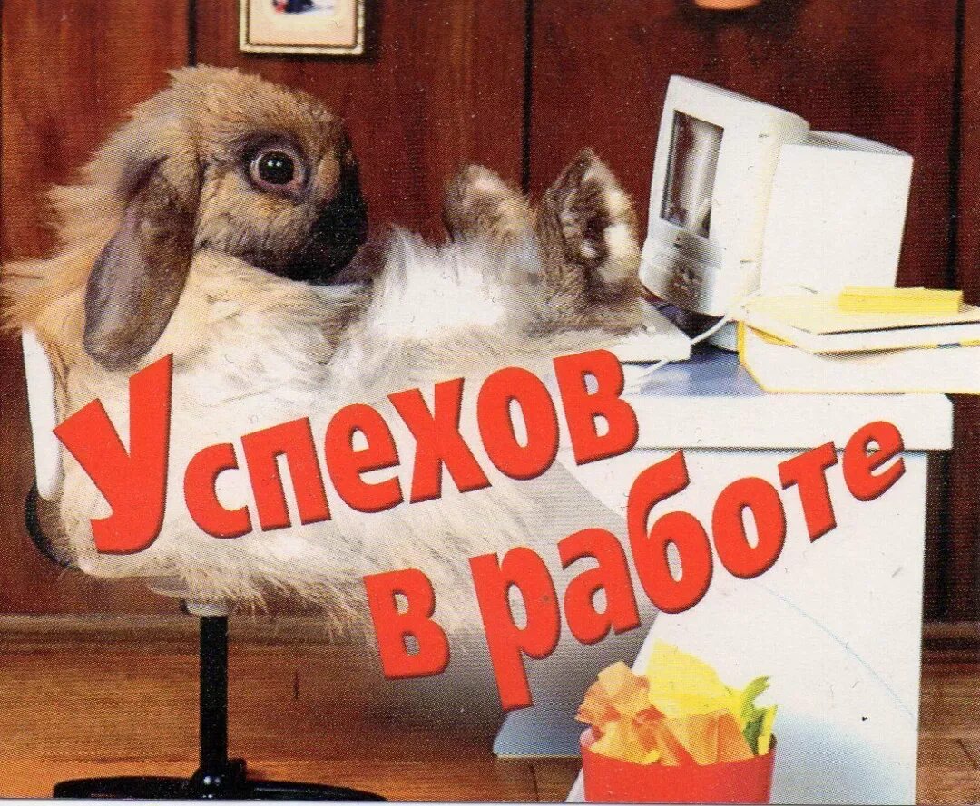 Красотке не впервой работать вилами
