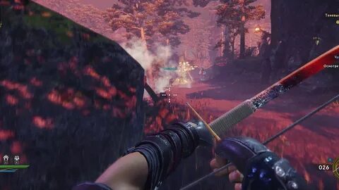 Shadow of coop