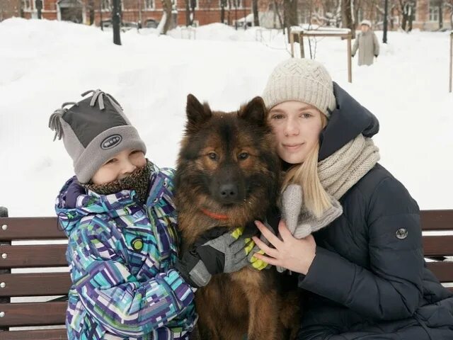 Собака обнимака пермь. Собака обнимака Сокольники. Гусяка обнимака. Собака-обнимака связать.