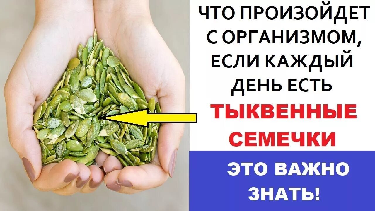 Чем полезны тыквенные семечки. Тыквенные семечки полезные. Польза тыквенных семечек. Семена тыквы польза.