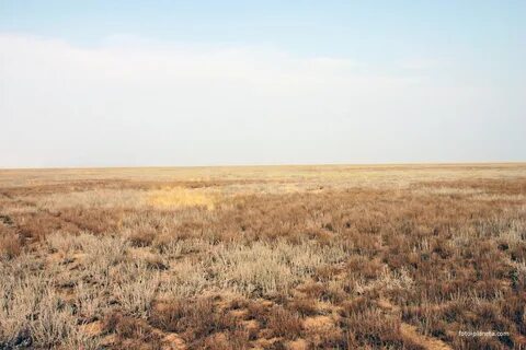 Палласовский р н
