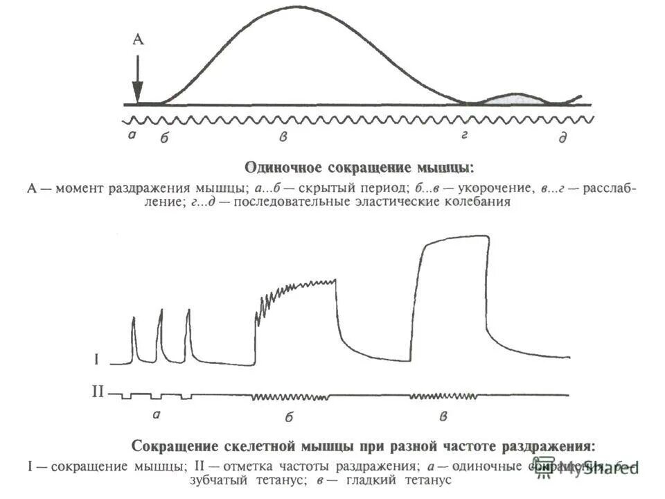 Непрямое раздражение