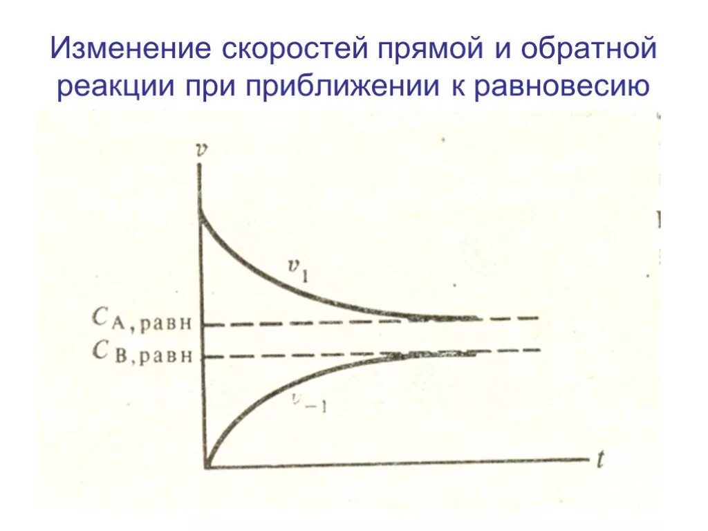 Скорость прямой реакции. Прямая и Обратная реакция. Изменение прямой и обратной реакции. Изменение скорости прямой и обратной реакции. Средняя скорость прямой реакции.