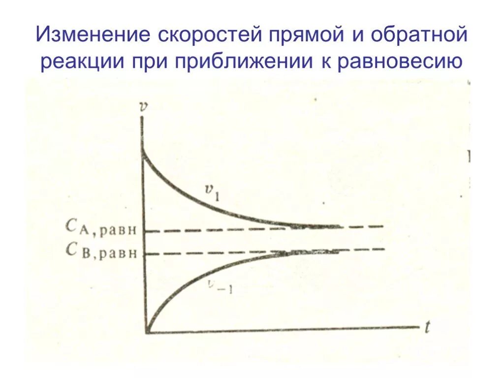 Как изменится скорость обратной реакции. Прямая и Обратная реакция. Прямая реакция и Обратная реакция. Скорость прямой и обратной реакции. Прямая и Обратная реакция в химии.