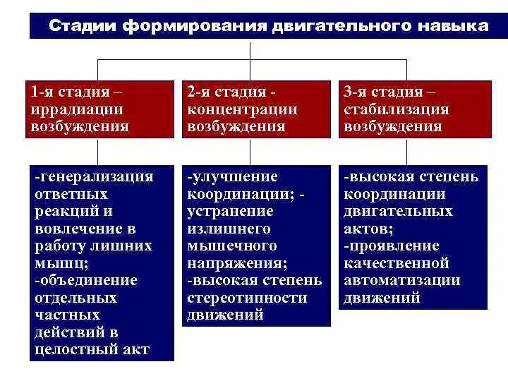 Движение развитие внутренняя. Стадии формирования двигательного навыка. Вторая фаза формирования двигательного навыка характеризуется. Стадии и этапы формирования двигательного навыка. Этапы формирования двигательных умений и навыков.