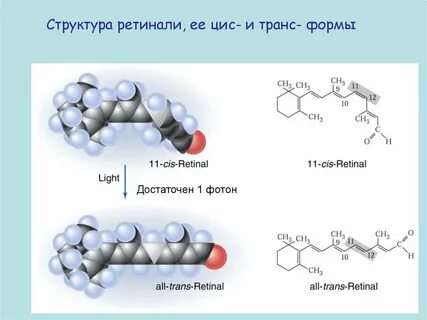 Ретиналь