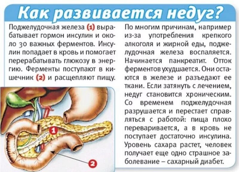 Панкреатит при боли в желудке. Поджелудочная железа симптомы. Что такое панкреатит поджелудочной.