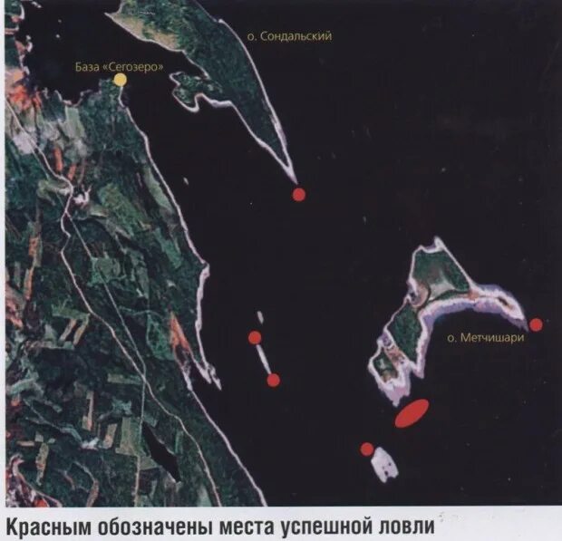 Где находится остров гриданошари на сегозеро Где находится остров гриданошари на сегозеро
