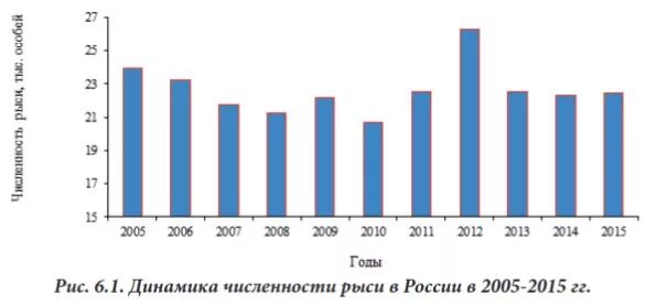 Дикие звери. Рысь кавказская (lynx lynx dinniki satunin, 1915). Численность рыси в россии. Рысь численность. Животные из красной книгипысь.