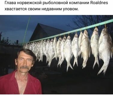 Сушка лещей