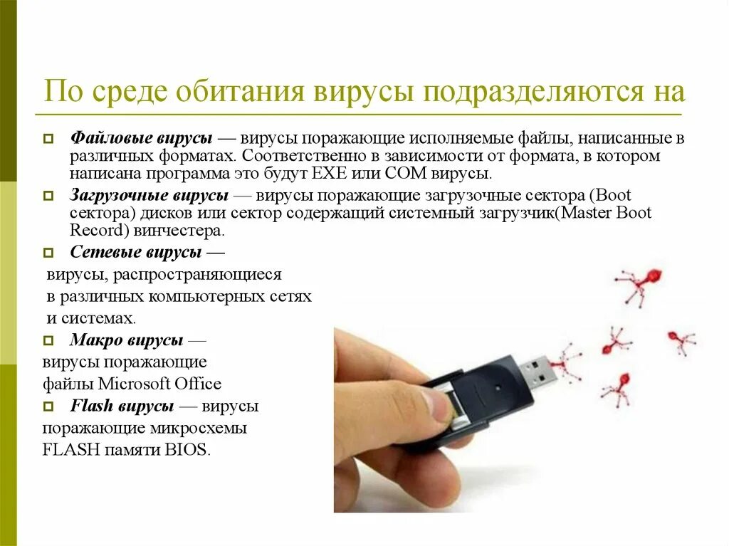 В какой среде обитают вирусы. В какой среде обитают вирусы