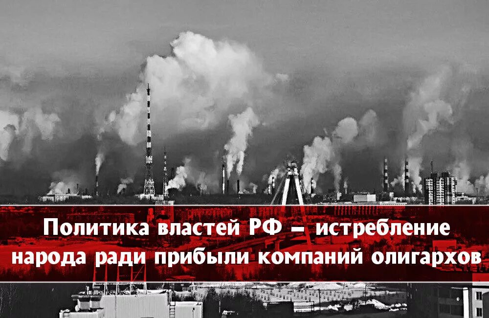 Протесты против вырубки троицкого леса. Русский народ мерзкий народ. Истребление властей. Горы черепов бизонов в северной америке. Истребление властей.