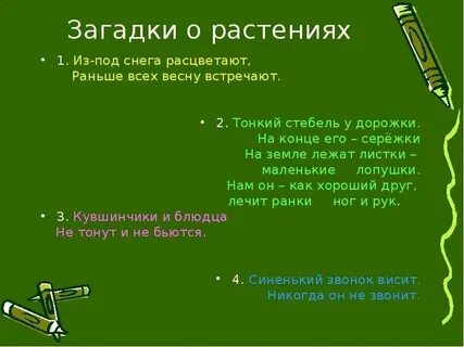Травы разбор 3