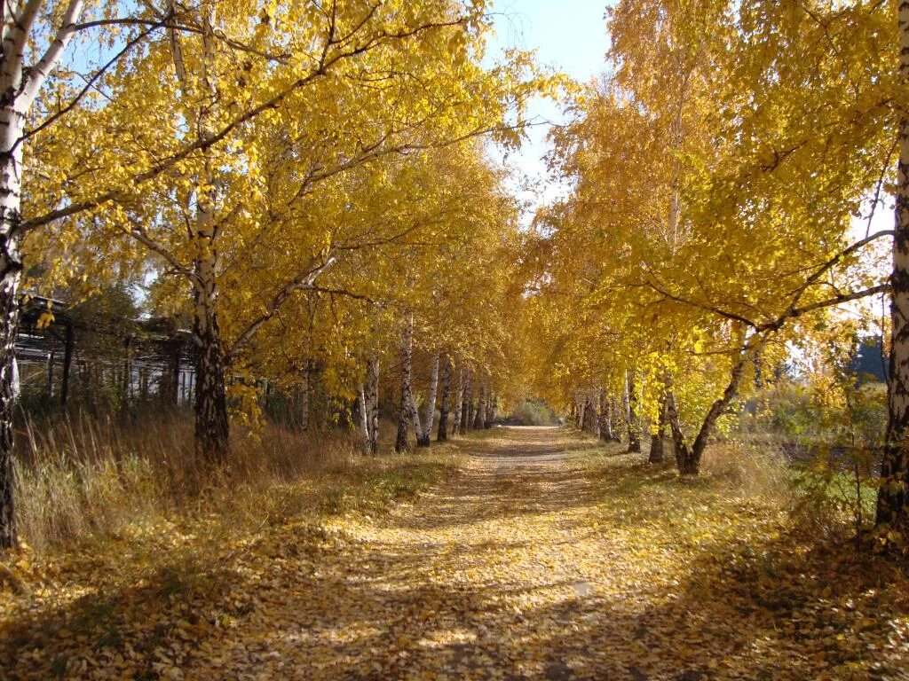 Дендрарий уссурийск фото YugNash.ru