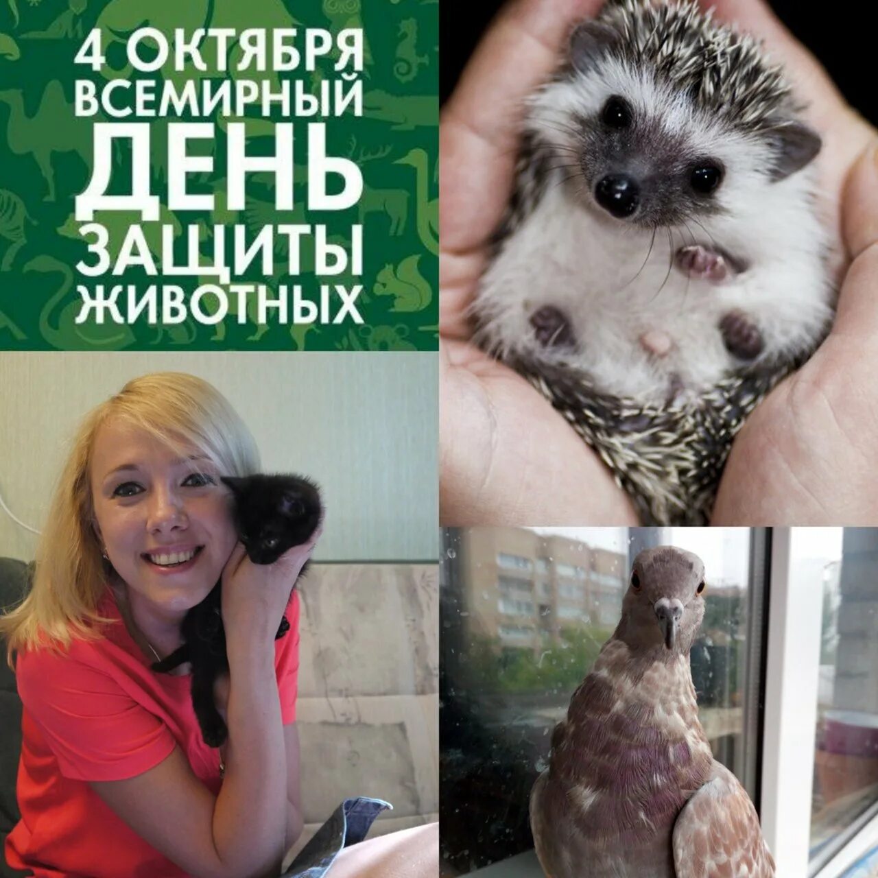 3 апреля день животных. Всемирный день защиты животных. 4 октября всемирный день защиты животных. 2 октября всемирный день животных. всемирный день защиты животных в марте.