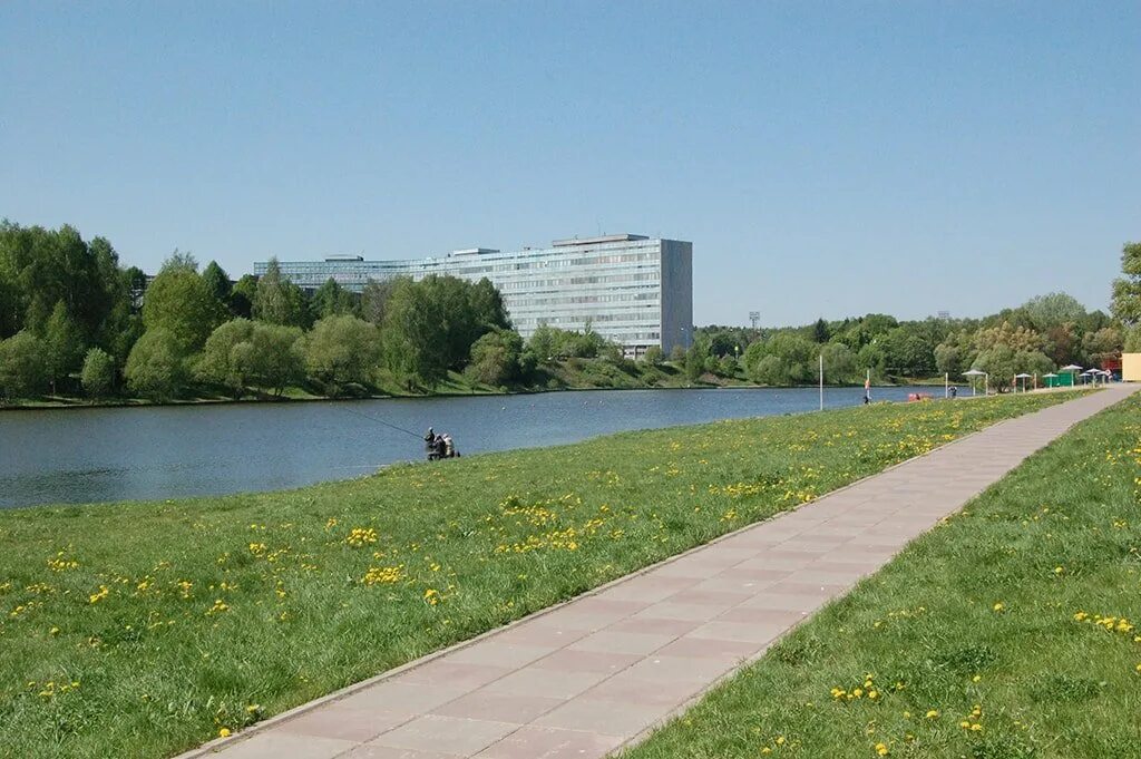 Зеленоград пруд. Дунькин пруд зеленоград. Пруд зеленоград ангрестем. Михайловский пруд. Зеленоград пруд.