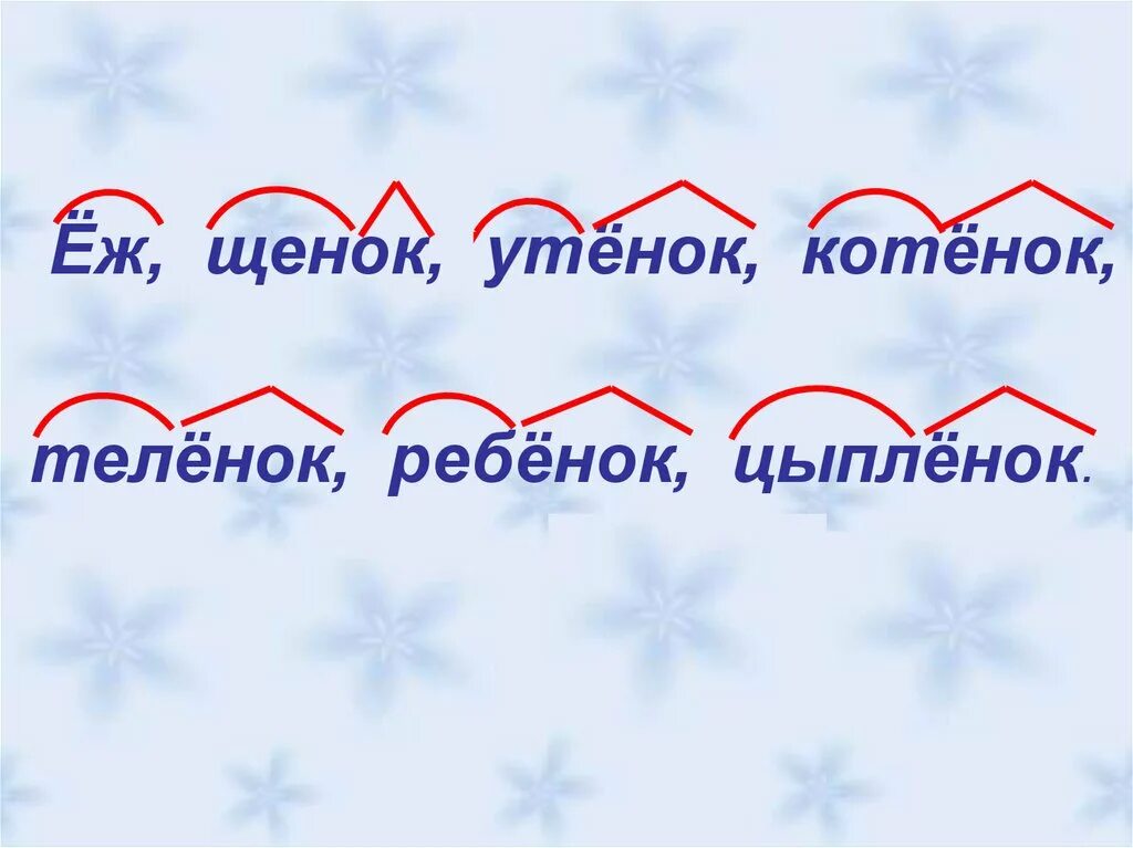 Состав слова котенка