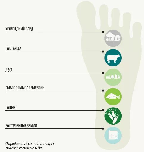 Углеродный след. Экологический след. Экологический след человека. Составляющие экологического следа. Слагаемые экологического следа.