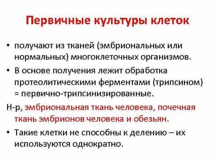 Первичные клетки