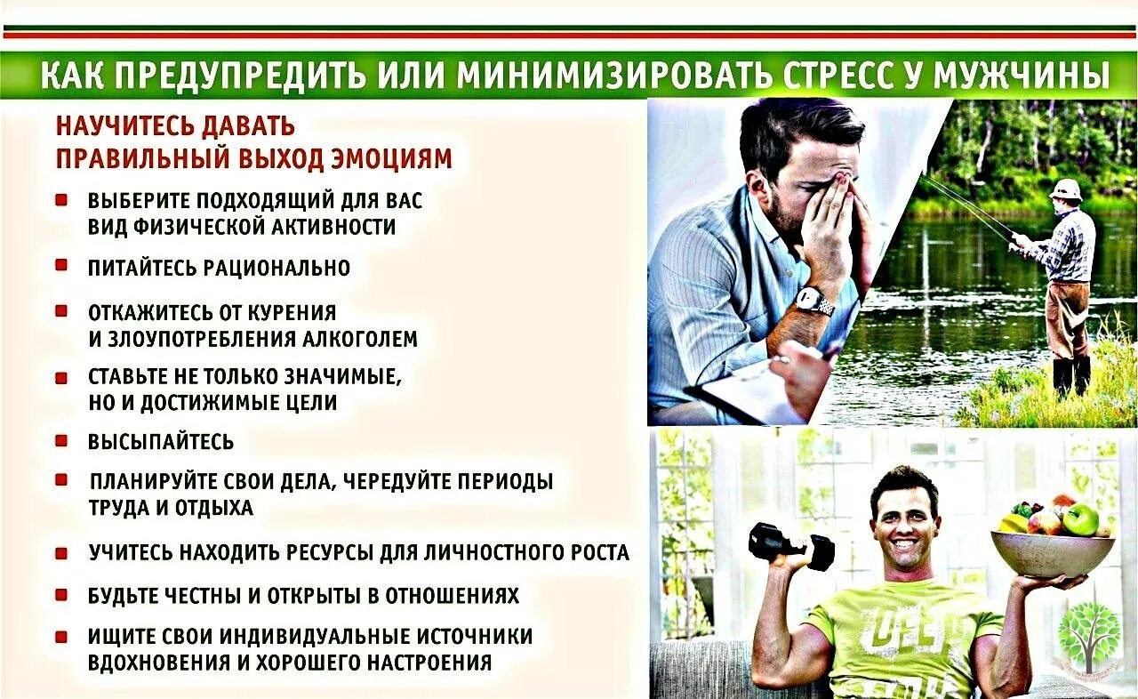 Как снизить мужские. Как снизить мужские. Повышение уровня тестостерона. Значимость девушка. Причины ухудшения эрекции.