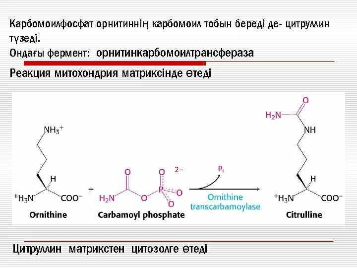 Цитруллин содержащему пептиду. Цитруллин содержащему пептиду