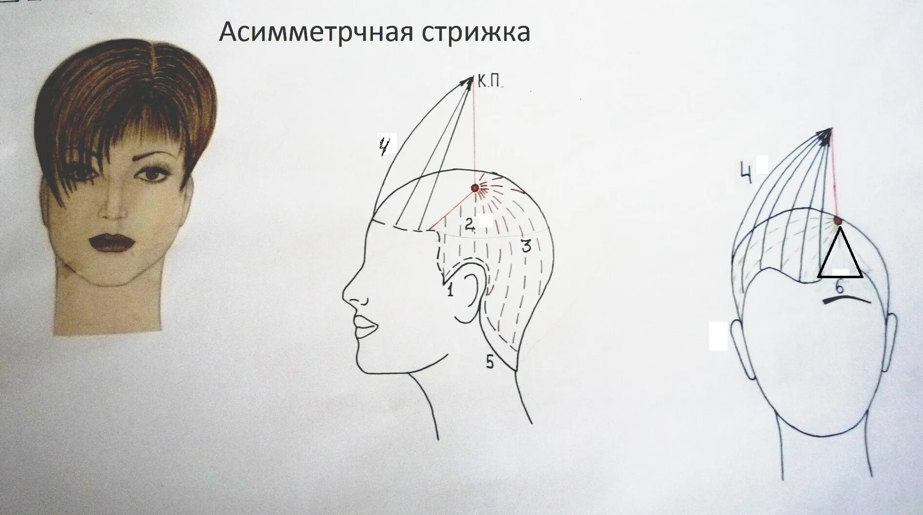 Технология стрижки Гарсон схема. Схема стрижки Пикси. Схема стрижки Боб каре градуированное. Схема стрижки Гарсон на короткие волосы. Стрижка техника выполнения стрижки. Технология стрижки Гарсон схема. Схема стрижки Пикси. Схема стрижки Боб каре градуированное. Схема стрижки Гарсон на короткие волосы.