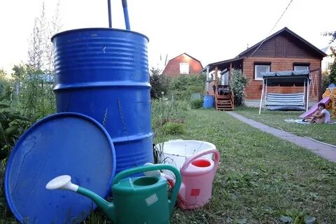 Срок дачи
