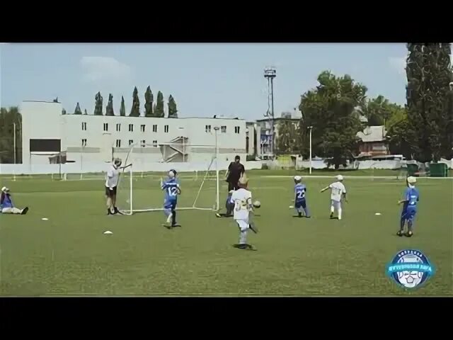 Лдфл курск