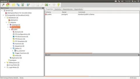 Pgadmin runtime environment