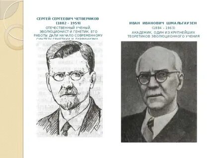Н н четвериков