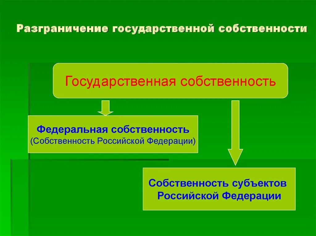 Разграничение государственной собственности. Разграничение государственной собственности на землю. Процедура разграничения государственной собственности на землю. Приоритет государственной формы собственности относится