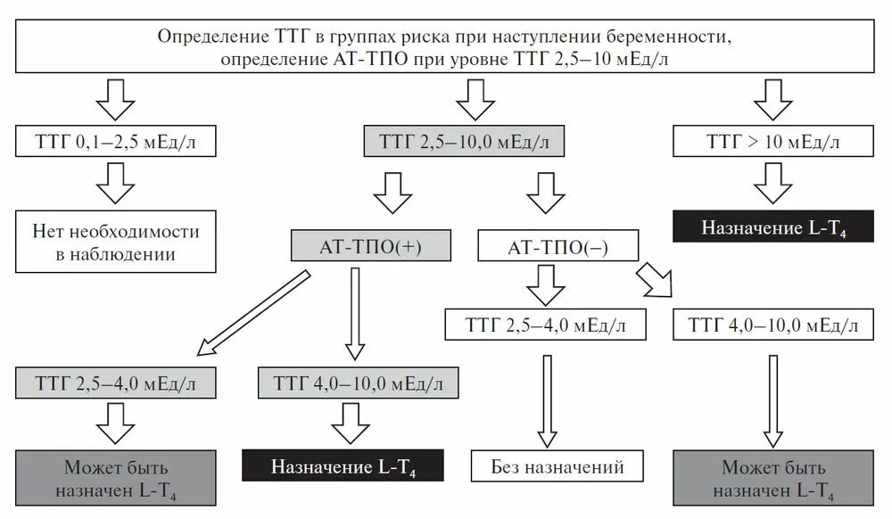 Нормы ттг при приеме эутирокса. Схема лечения гипотиреоза. ТТГ схема. Уровень ТТГ при гипотиреозе. Уровень ТТГ при гипотиреозе у женщин.