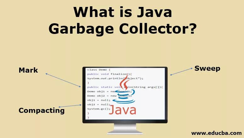 What is a collection