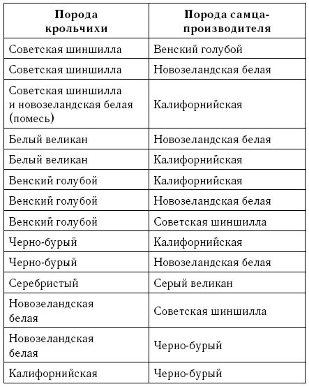 Скрещивание породистых. Межпородное скрещивание кроликов таблица. Таблица скрещивания пород кроликов. Таблица скрещивания кроликов разных пород. Скрещивание пород кролика породы.