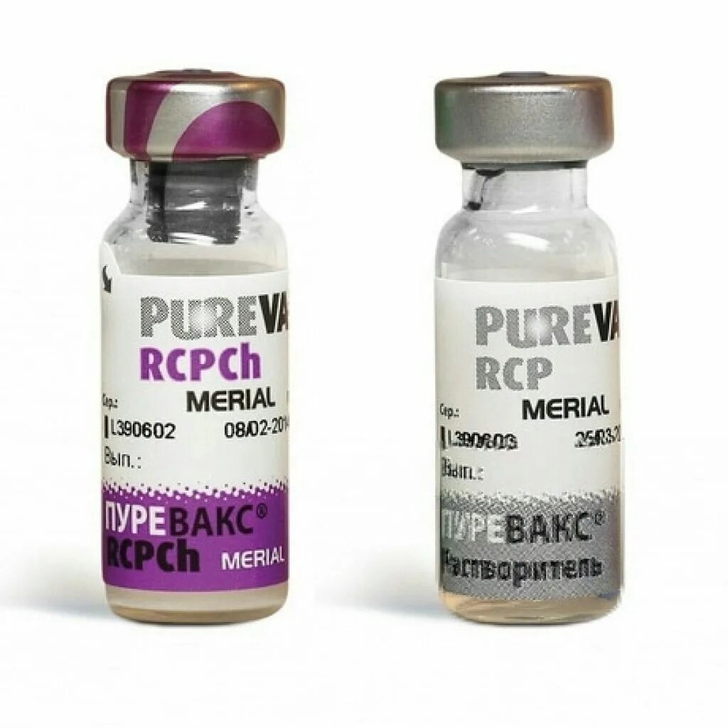 Вакцина Пуревакс RCPCH. Пуревакс RCPCH для кошек. Пуревакс для кошек без хламидиоза.