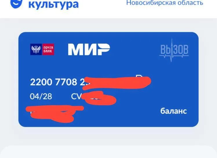 Продажа пушкинской карты. Оплата пушкинской картой. Продажа пушкинской карты. Пушкинская карта. Кому продать пушкинскую карту.