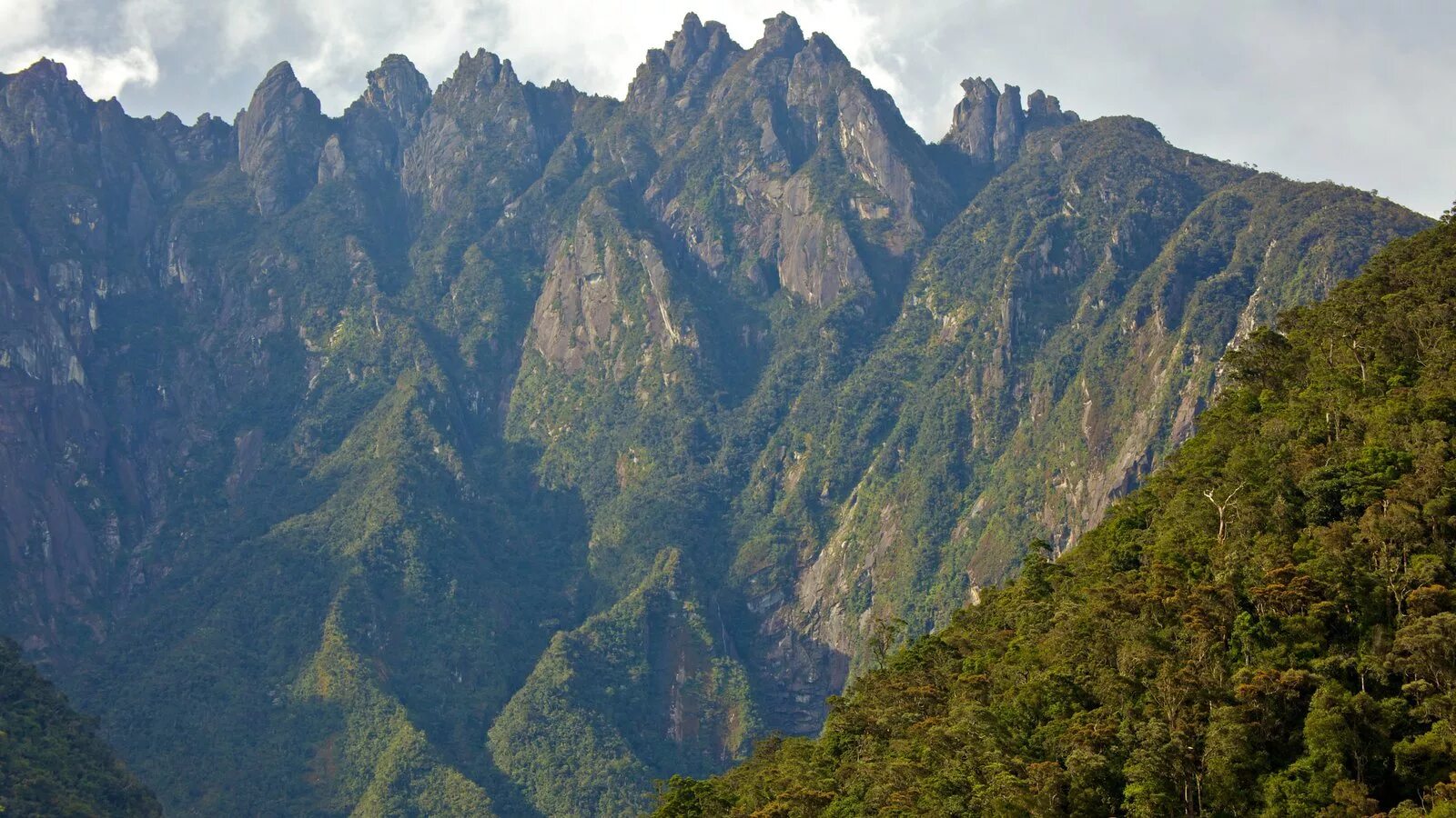 Кинабалу малайзия. Гора Кинабалу Малайзия. Национальный парк Kinabalu Park.. Кота Кинабалу гора. Кота Кинабалу восхождение.