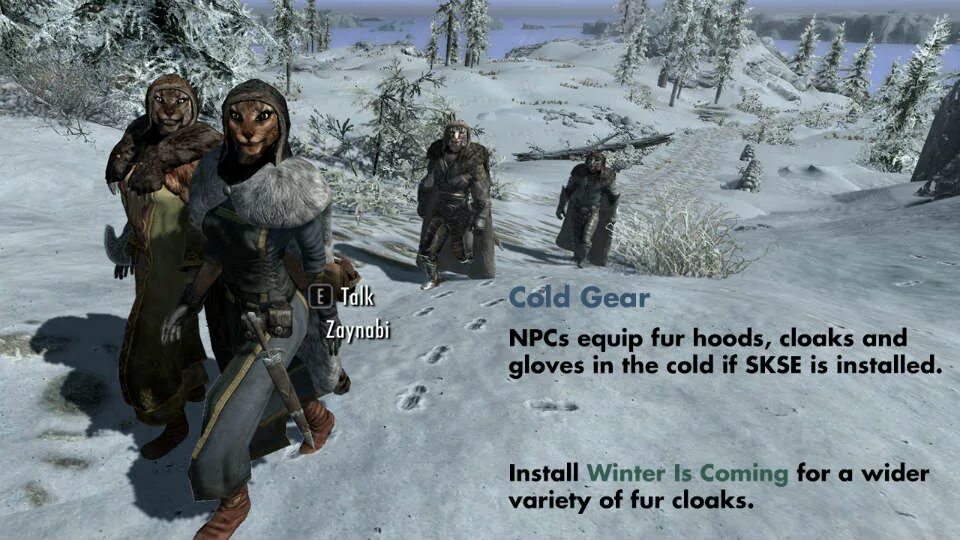 Скайрим мод холод и сырость. Wet and cold skyrim se. Скайрим мод wet and cold. Скайрим холод. Wet and cold skyrim se.