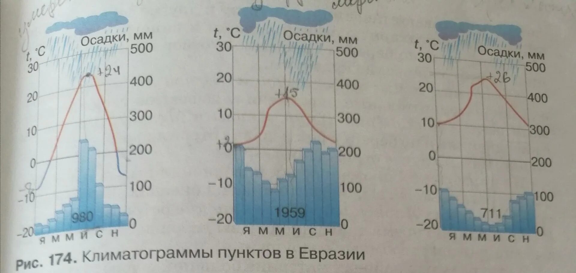 300 мм осадков. Климатограммы климатических поясов. Режим выпадения осадков. Осадки климатических поясов. Режим осадков по поясам.