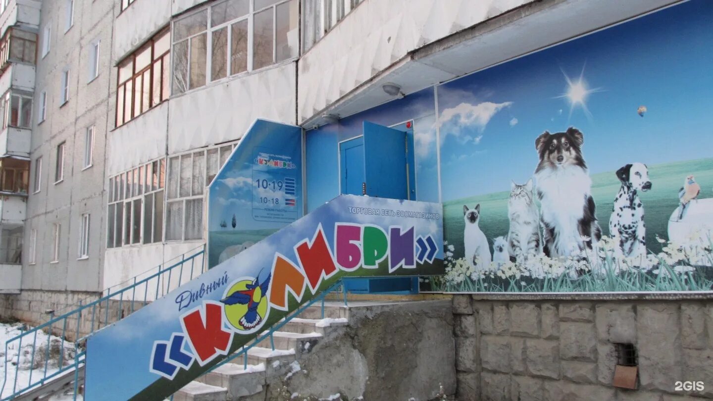 Брянск ул пушкина 28. Зоомагазин колибри. Магазин колибри сыктывкар. Октябрьский проспект 48 сыктывкар. Зоомагазин колибри.