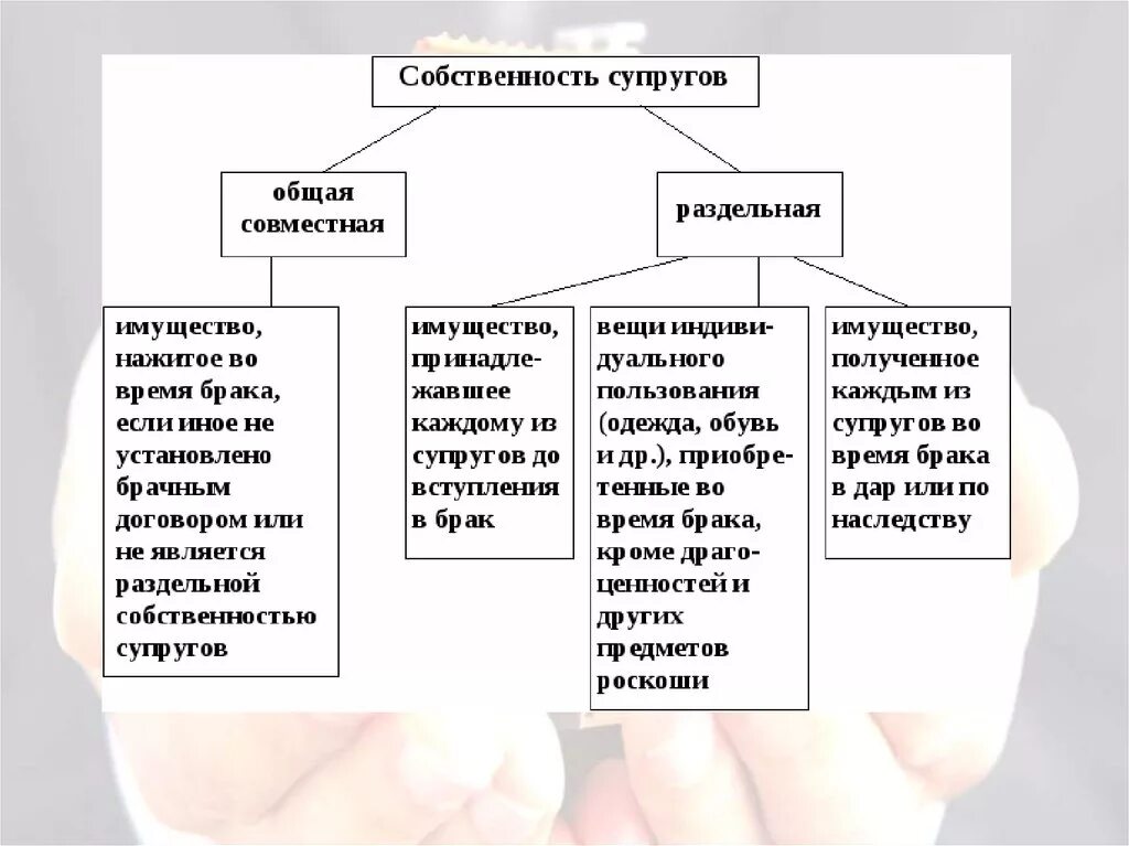 Собственность бывших супругов. Составьте схему собственность супругов. Виды совместной собственности супругов схема. Общая собственность супругов таблица. Виды общей собственности схема.